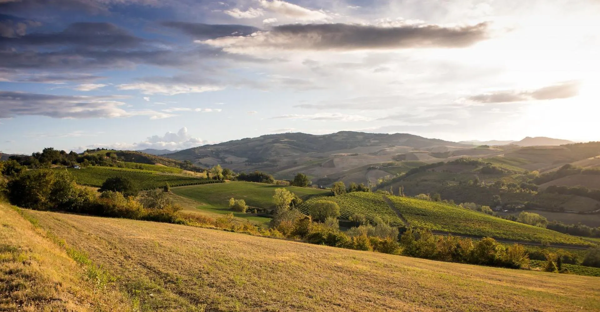 Locanda Della Fortuna Faenza Italie